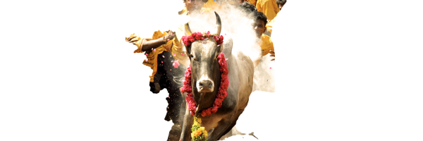 tamilnadu, tamil culture, south-2754669.jpg